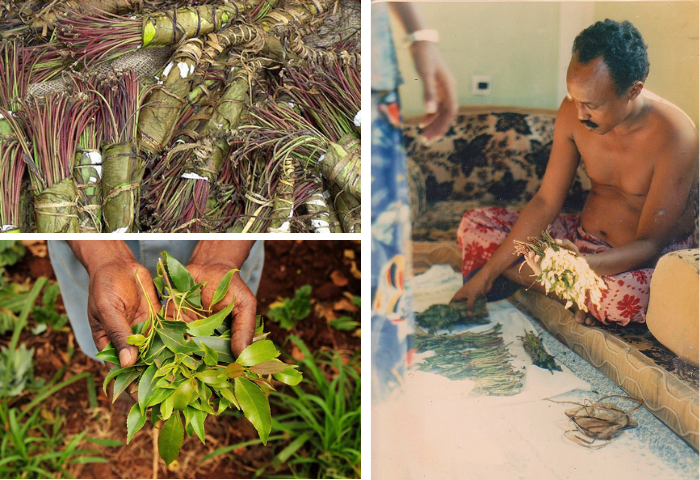 (à gauche) Des bottes de Khat  (Celastrus edulis Vahl), (à droite) Homme somalien à Mogadiscio en train de préparer des feuilles de khat, wikimédia DP, flickr CC-BY-SA