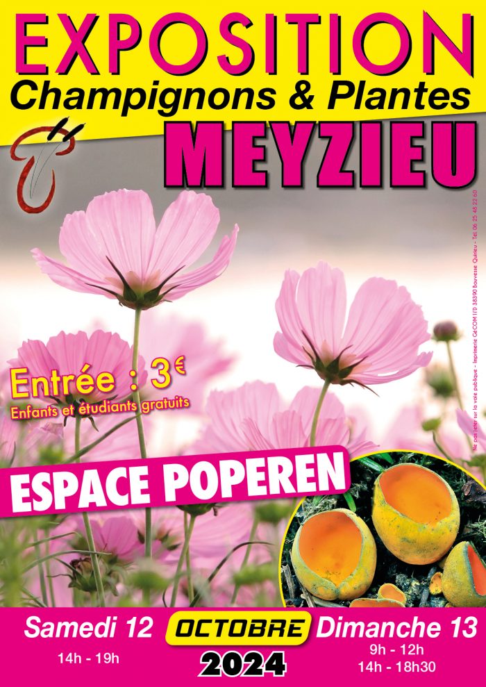 affiche meyzieu