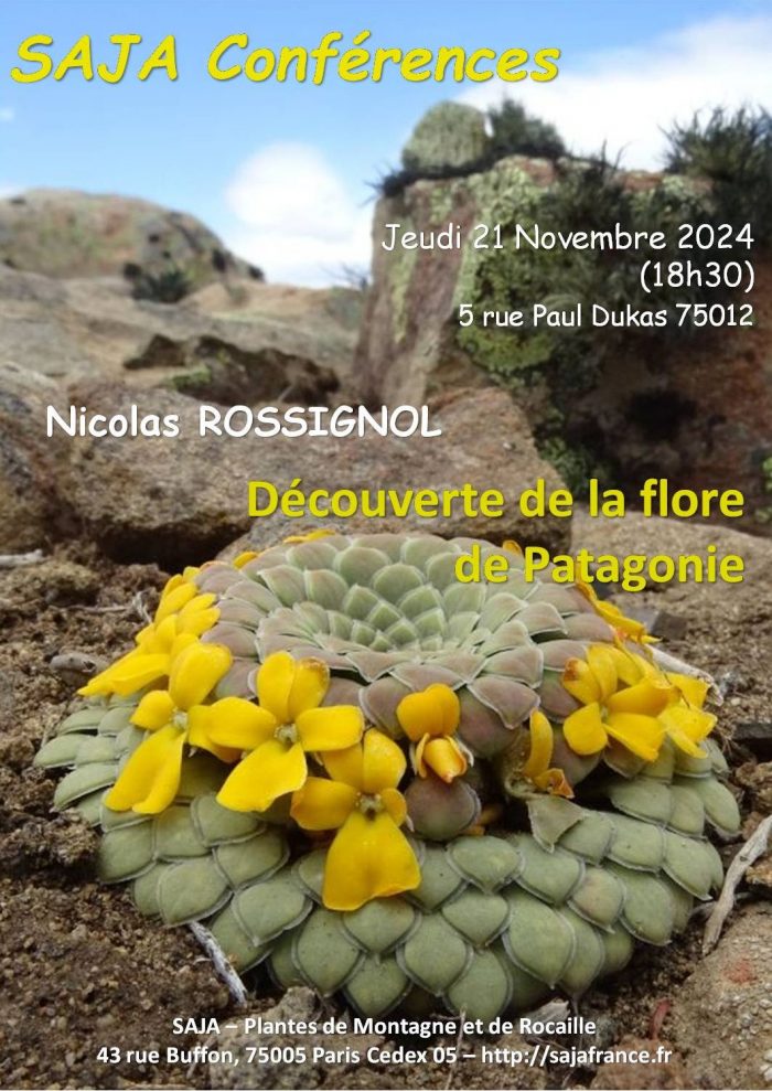 Affiche Nicolas Rossignol novembre 2024