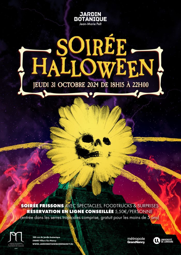 Affiche-Soiree-Halloween_2024