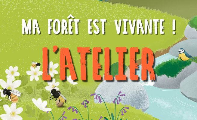 Ma Forêt est Vivante !