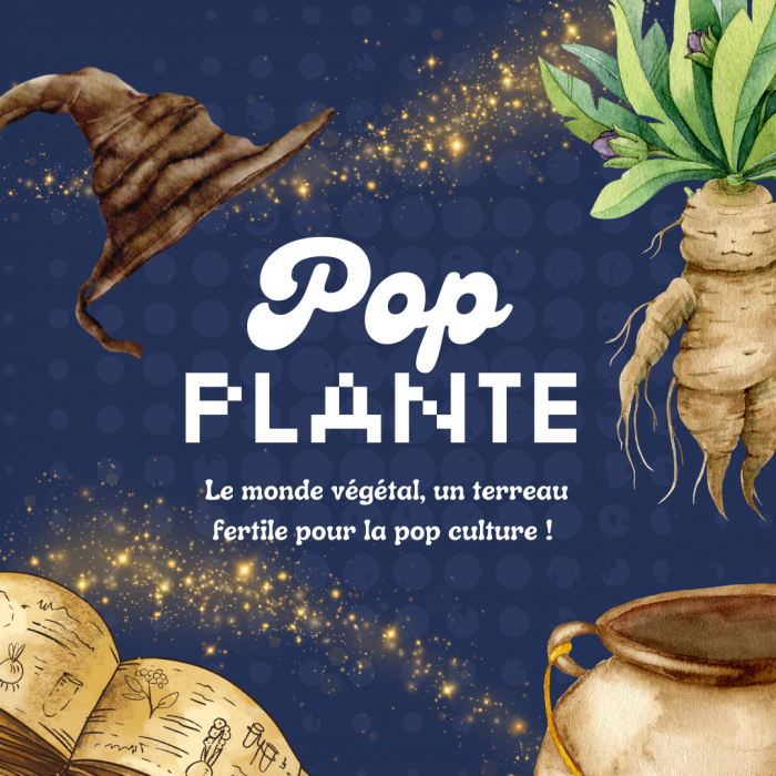 Pop plante!(4)