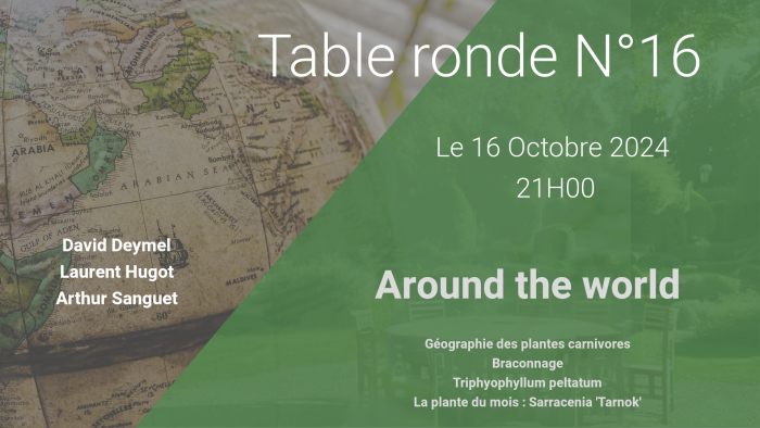 affiche_twitch_table_ronde_16