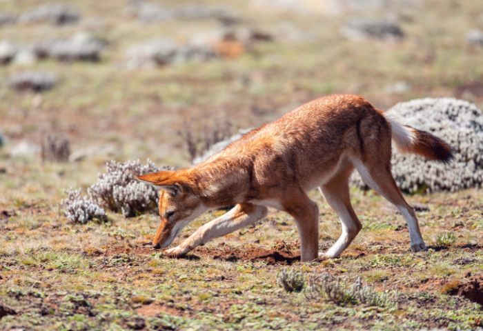 Image grande en haut d'une actu (700 x 480px)(4)