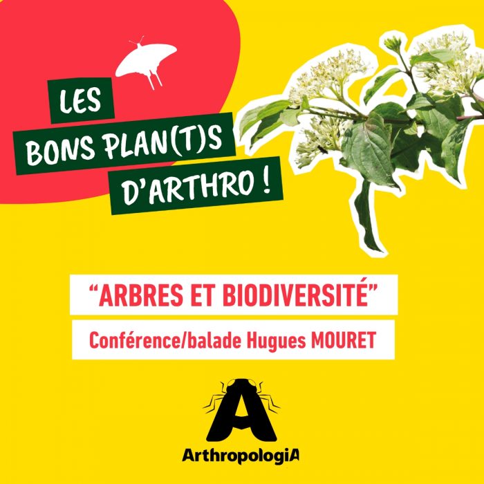 Vignette Carre bons plants 712