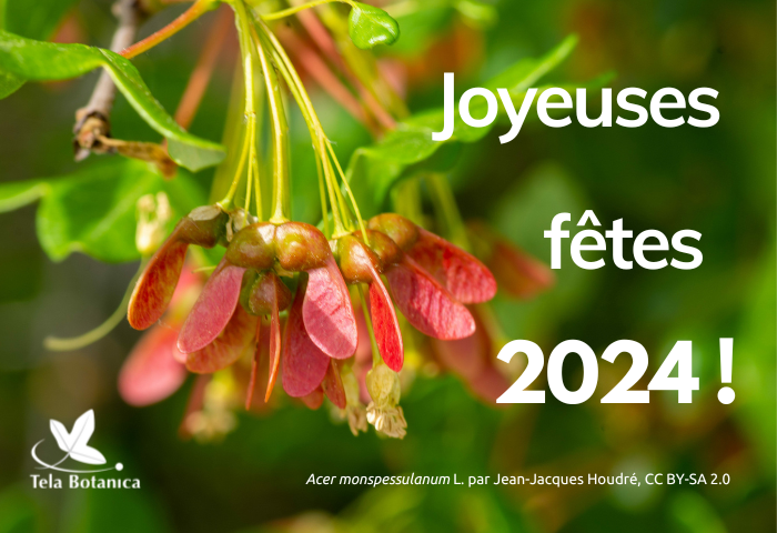 joyeusesfetes2024