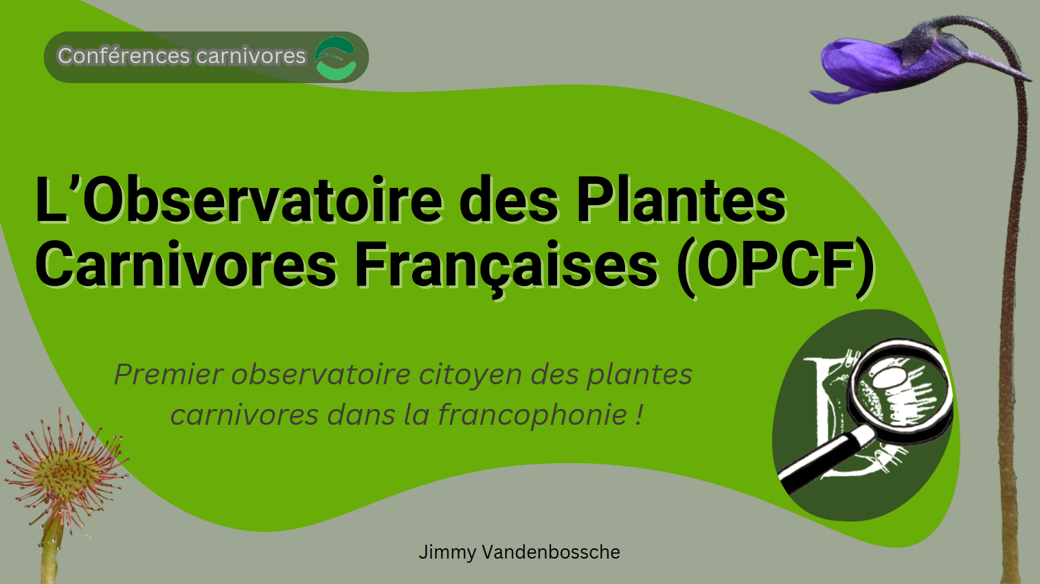 Conf Rence Lobservatoire Des Plantes Carnivores Fran Aises Opcf Par Jimmy Vandenbossche