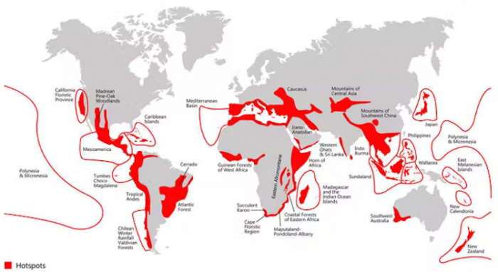 Carte des points chauds (hotspots) de biodiversité mondiale. Conservation International, Fourni par l'auteur