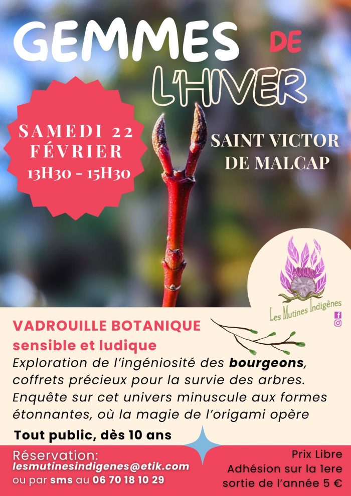 Gemmes de l'hiver Flyer