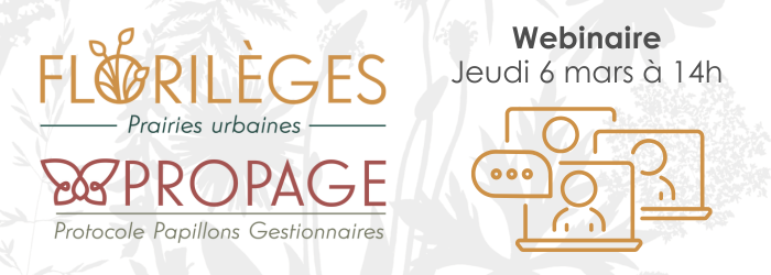 Illustration pour le webinaire Florilèges et Propage