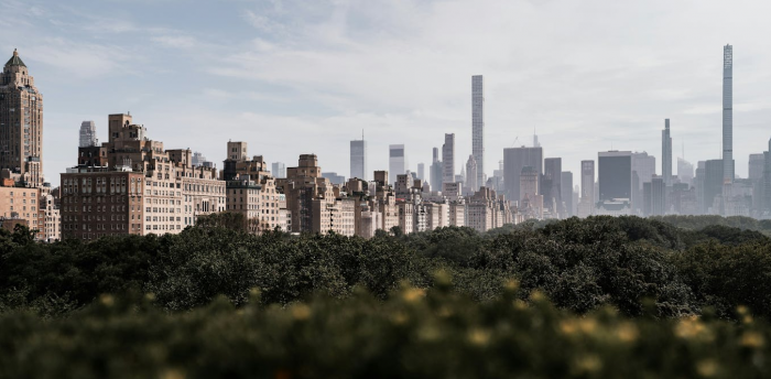 Central Park, New York