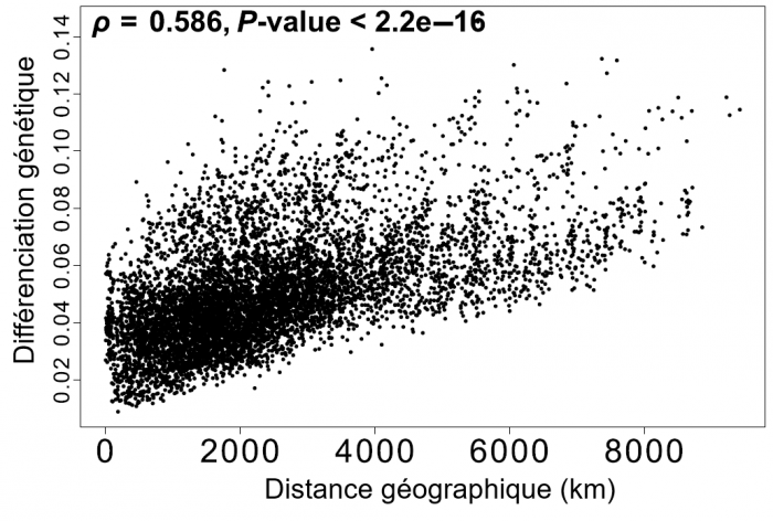 Différences génétiques et distance géographique entre paires de populations