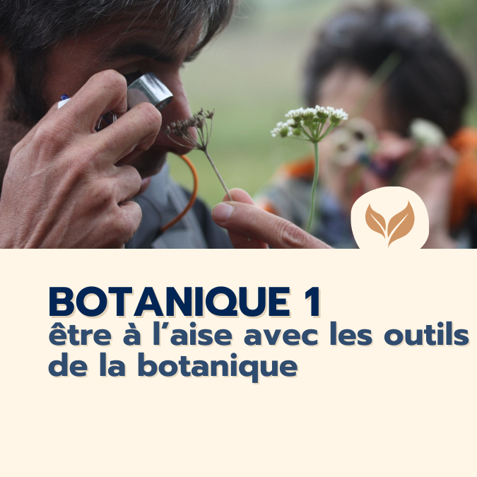 Formation-naturalistes-2025-Botanique-niveau1-organisme-formation-ecologistes-euziere