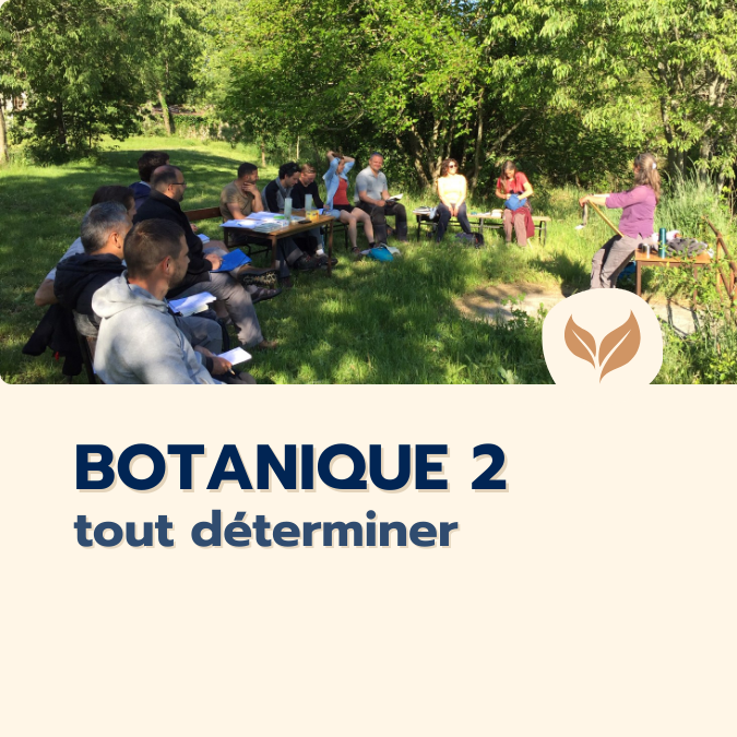 Formation-naturalistes-2025-Botanique2-determination-organisme-formation-ecologistes-euziere