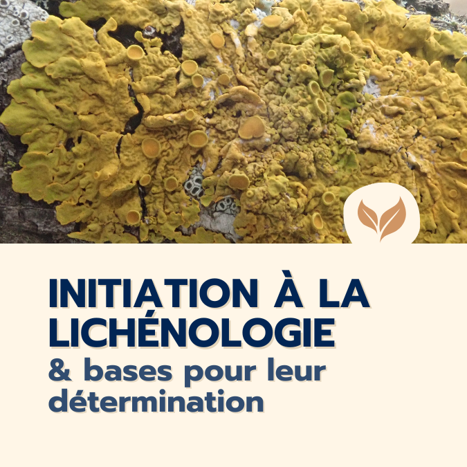 Formation-naturalistes-2025-Initiation-Lichenologie-organisme-formation-ecologistes-euziere