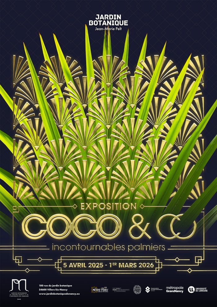 Affiche-Coco_Co