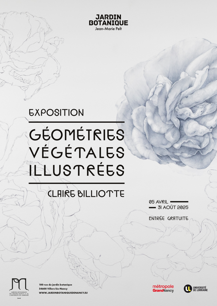 Affiche_Geometrie-Vegetale-Illustree_C-Billiotte