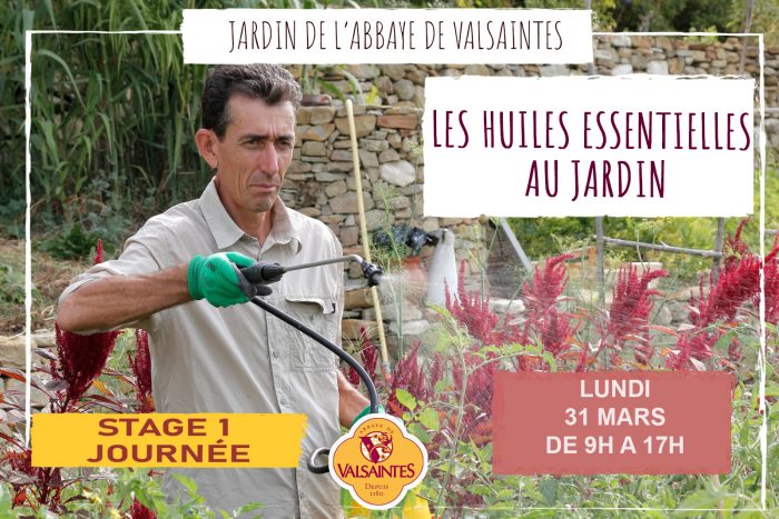 huiles essentielles au jardin stage 253 copie